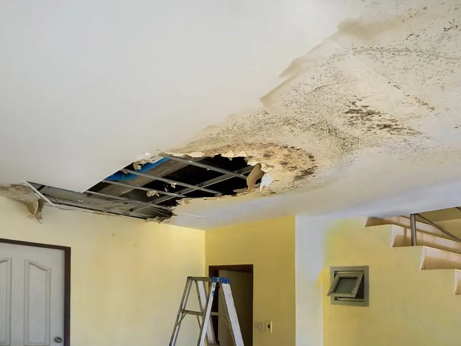 Ceiling leak water damage in a Palmetto, GA home