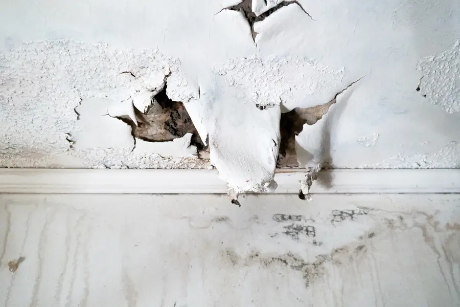 Roof and storm leak water damage in a Palmetto, GA home